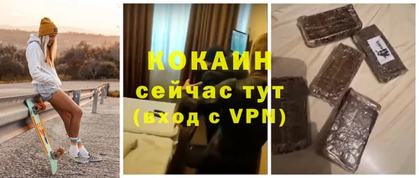 ГАЛЛЮЦИНОГЕННЫЕ ГРИБЫ Верея