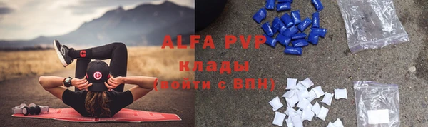 винт Бородино