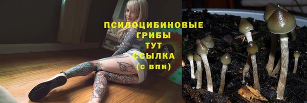 PSILOCYBIN Бронницы