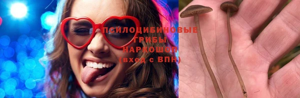 PSILOCYBIN Бронницы