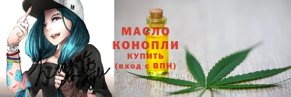 винт Бородино