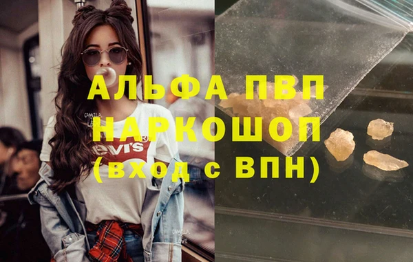 винт Бородино