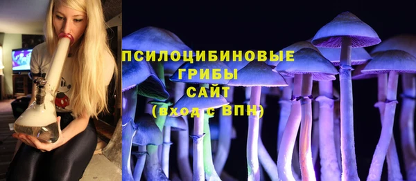 винт Бородино