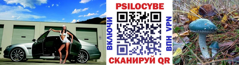 Псилоцибиновые грибы мухоморы  где можно купить наркотик  Семилуки 
